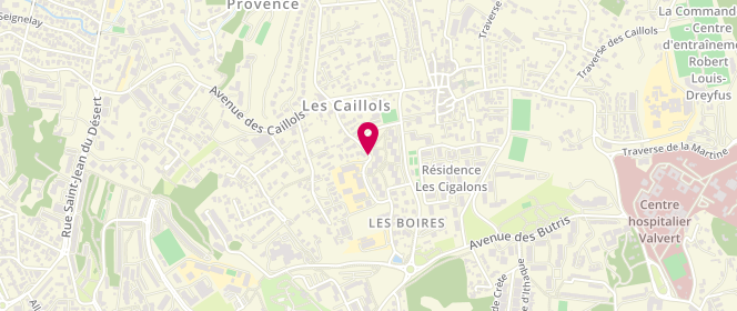 Plan de Esc Synergie 13012 - Ecole Les Caillols, 32 Chemin des Campanules, 13012 Marseille