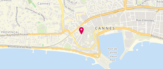 Plan de Accueil de loisirs périscolaire MontChevalier, 11 Rue Jean Hibert, 06400 Cannes