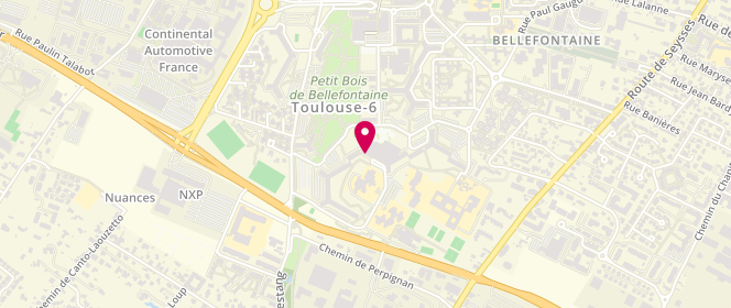Plan de Centre de loisirs Bellefontaine, 20 Chemin le Tintoret, 31100 Toulouse