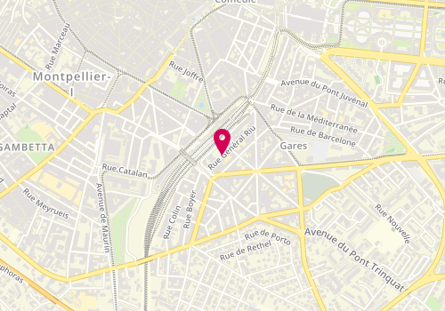 Plan de ALP Mixte Hugo - Bert - Figuier, 19 Rue du Général Riu, 34000 Montpellier
