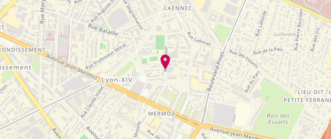 Plan de AL Laënnec-Mermoz, 21 Rue Genton, 69008 Lyon