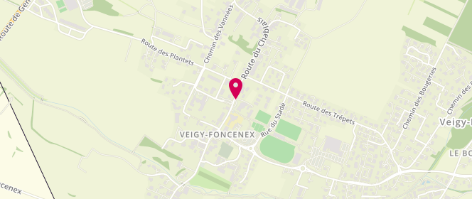 Plan de Acceuil de loisirs de la commune de Veigy-foncenex, 166 Bis Route du Chablais, 74140 Veigy-Foncenex