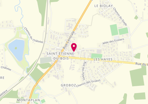 Plan de Centre de loisirs de saint Etienne du Bois, 130 Allée des Écoliers, 01370 Saint-Étienne-du-Bois