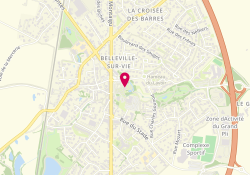Plan de Centre de loisirs la Marelle, 5 Rue de la Croix Aux Pages-Saligny, 85170 Bellevigny