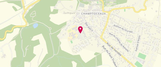 Plan de Accueil de loisirs municipal Graines de Loire, Champtoceaux - Orée d'Anjou, 20 Avenue de Verwood, 49270 Orée-d'Anjou