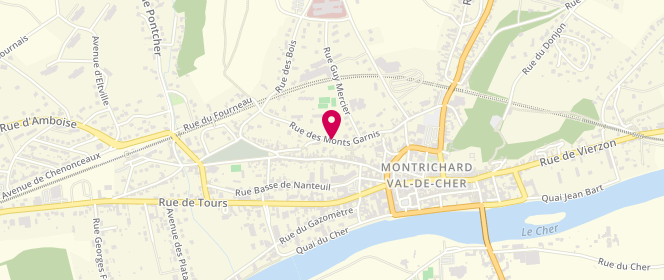 Plan de Accueil de loisirs - Montrichard Val de Cher - Jules Verne, Rue des Monts Garnis, 41400 Montrichard-Val-de-Cher