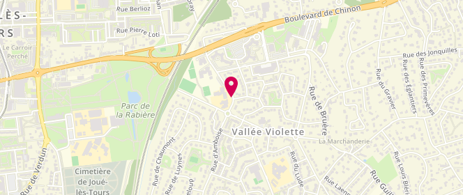 Plan de Accueil de loisirs périscolaire Vallee Violette, 7 Rue d'Amboise, 37300 Joué-lès-Tours