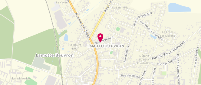 Plan de Accueil de loisirs - Lamotte Beuvron, 10 Bis Rue de Beauce, 41600 Lamotte-Beuvron