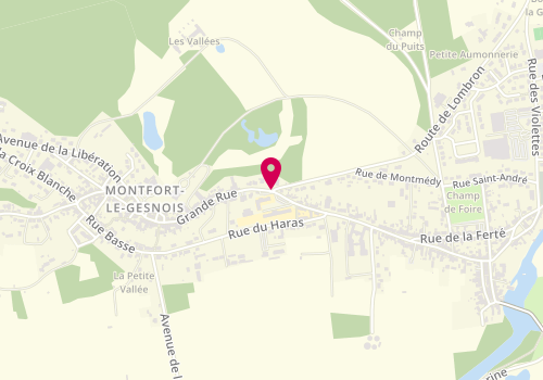 Plan de Centre de loisirs - Accueil de Loisirs - Montfort le Gesnois, 70 Grande Rue Grande Rue, 72450 Montfort-le-Gesnois