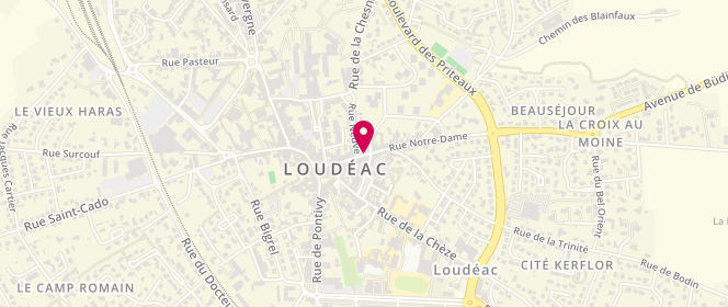 Plan de Accueil de loisirs extrascolaire 3-12 Ans Loudéac, 20 Rue Notre Dame, 22600 Loudéac