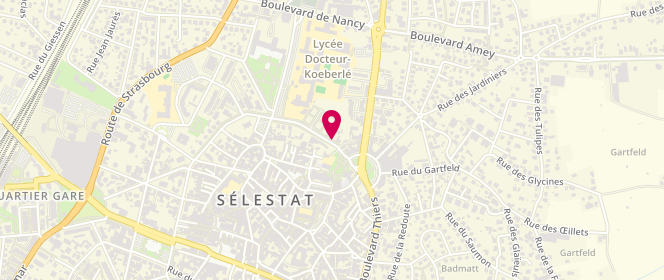 Plan de Scouts Et Guides De France - Sgdf Groupe Selestat - 1Ere saint Georges, 7 Boulevard Castelnau, 67600 Sélestat