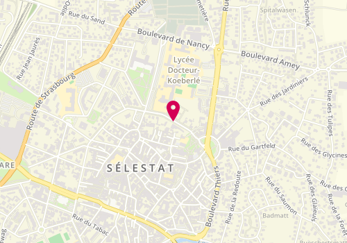 Plan de Accueil de loisirs Selestat, Boulevard Castelnau, 67600 Sélestat