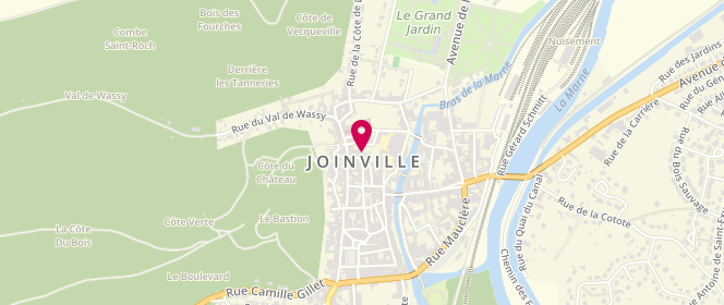 Plan de Centre de loisirs de Joinville, Rue Albert Gigoux, 52300 Joinville