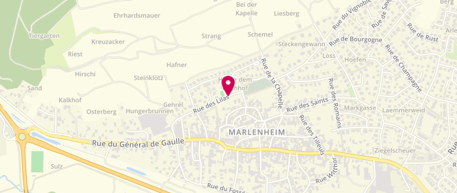 Plan de Accueil périscolaire et de loisirs sans hébergement de Marlenheim, 15 Rue des Lilas, 67520 Marlenheim