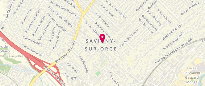 Plan de Centre de loisirs Charles Perrault Savigny Sur Orge, Allée Georges Clémenceau - Plaine des Houches, 91600 Savigny-sur-Orge