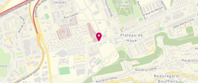 Plan de Accueil de loisirs Centre Protestant d'Accueil et de Solidarité le Buiss, 1249 Avenue Raymond Pinchard, 54000 Nancy